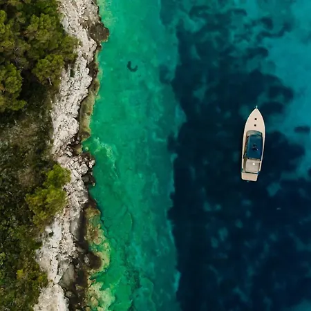 Luxury Jakov With Pool Villa